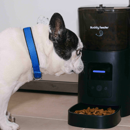 Smart Pet Feeder