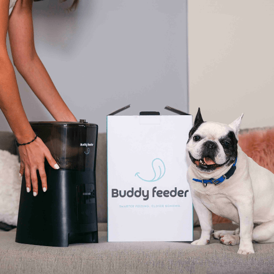 Smart Pet Feeder