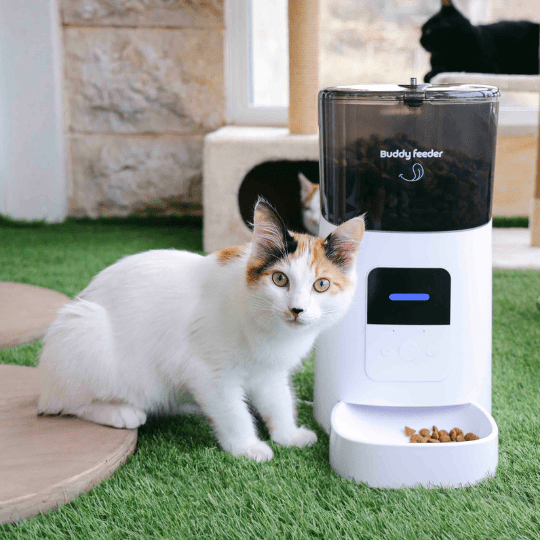 Smart Pet Feeder