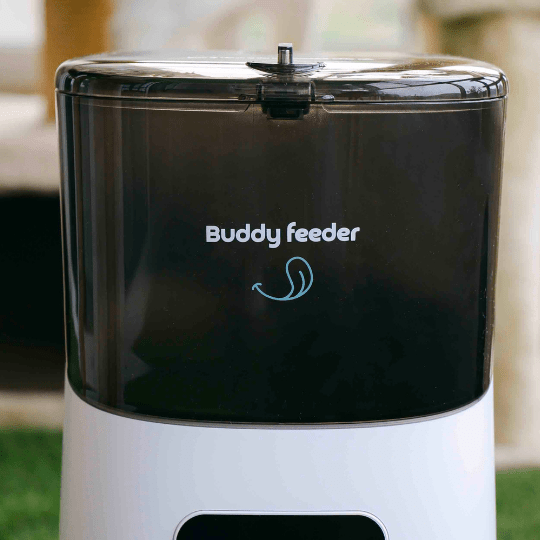 Smart Pet Feeder