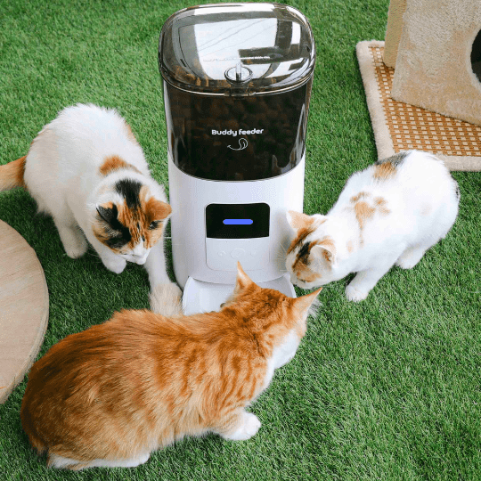 Smart Pet Feeder